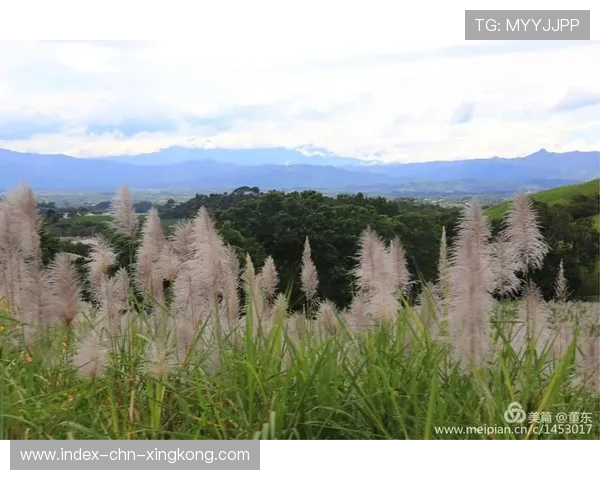 哥斯达黎加俱乐部积极拓展国际热身赛迈向更高竞技峰峰